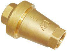 ZNF����ֹ���y